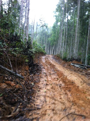 Quặng tặc “xẻ thịt” các quả đồi ở Kiến Thiết (Tuyên Quang)